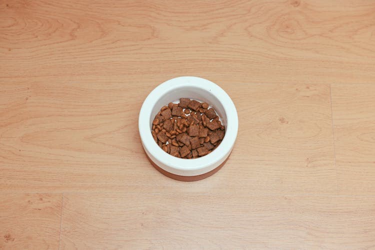 Dog food in a bowl
